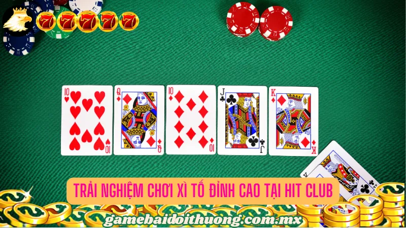 Trải nghiệm chơi Xì Tố đỉnh cao tại Hit Club