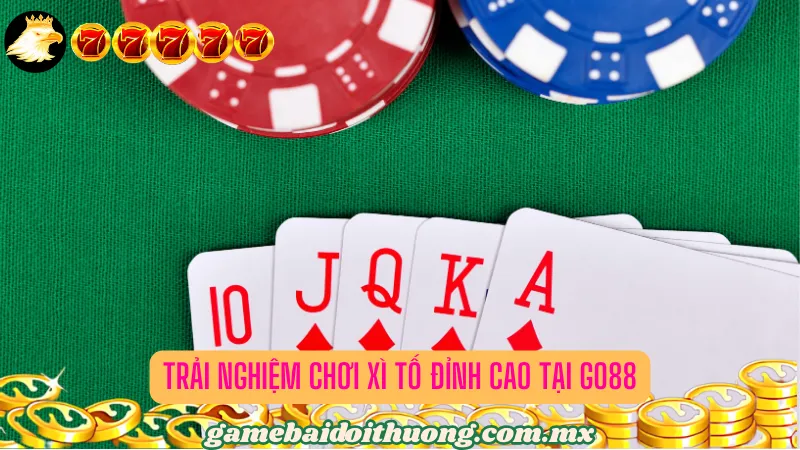 Trải nghiệm chơi Xì Tố đỉnh cao tại Go88