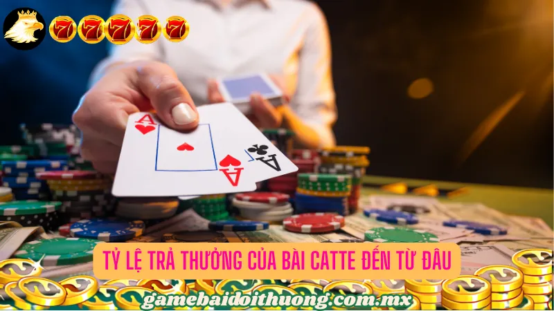 Tỷ lệ trả thưởng của bài Catte đến từ đâu