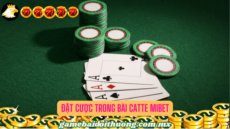 Đặt cược trong Bài Catte Mibet