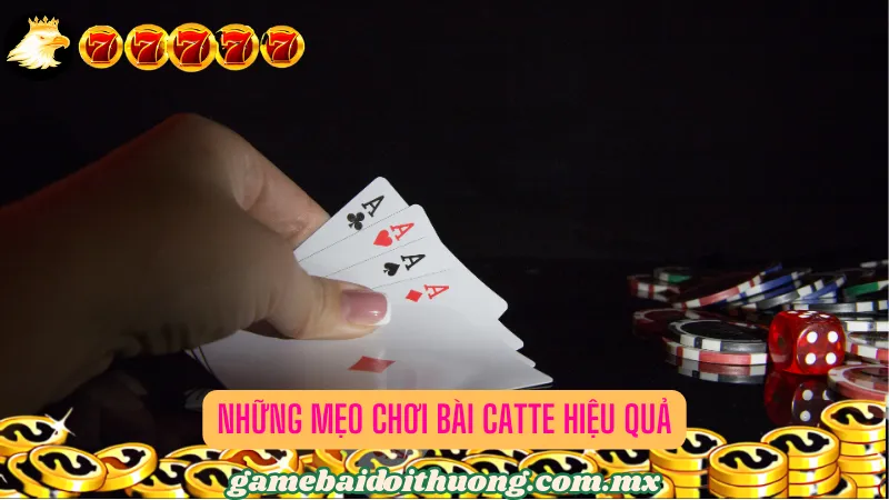 Những mẹo chơi bài Catte hiệu quả