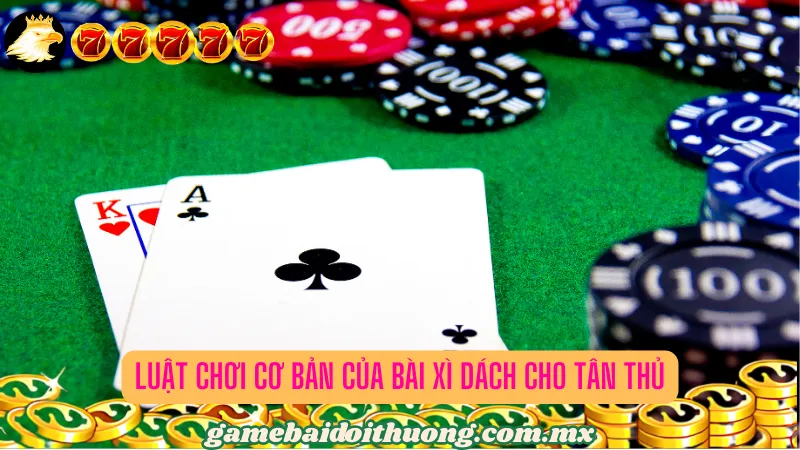 Luật chơi cơ bản của bài Xì Dách cho tân thủ