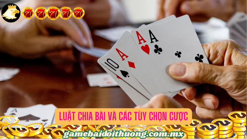 Luật chia bài và các tùy chọn cược