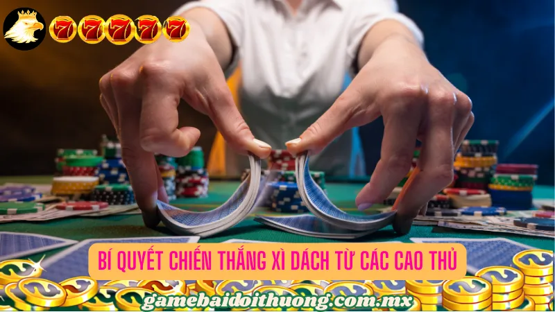 Bí quyết chiến thắng Xì dách từ các cao thủ