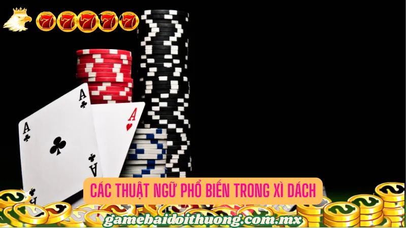 Các thuật ngữ phổ biến trong Xì dách