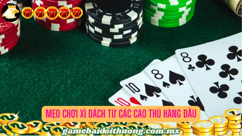 Mẹo chơi Xì dách từ các cao thủ hàng đầu