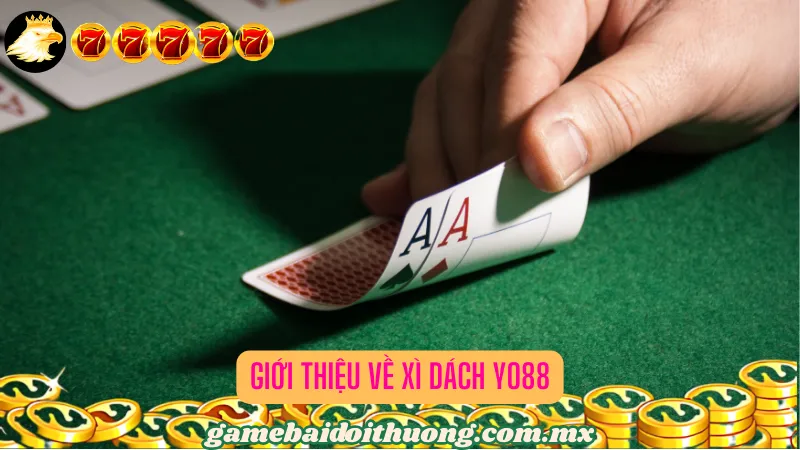 Giới thiệu về Xì dách Yo88