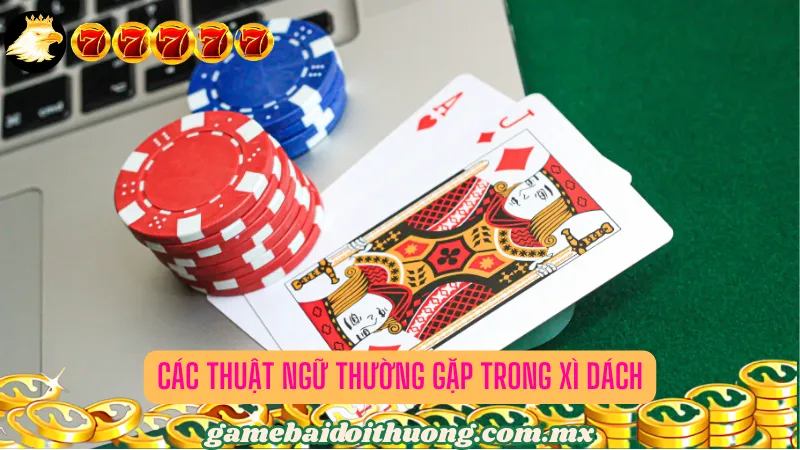 Các thuật ngữ thường gặp trong Xì dách