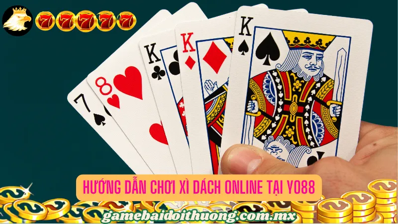 Hướng dẫn chơi Xì dách online tại Yo88