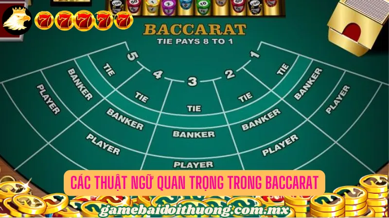 Các thuật ngữ quan trọng trong Baccarat