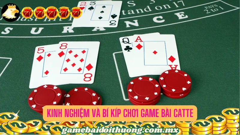 Kinh nghiệm và bí kíp chơi Game bài Catte