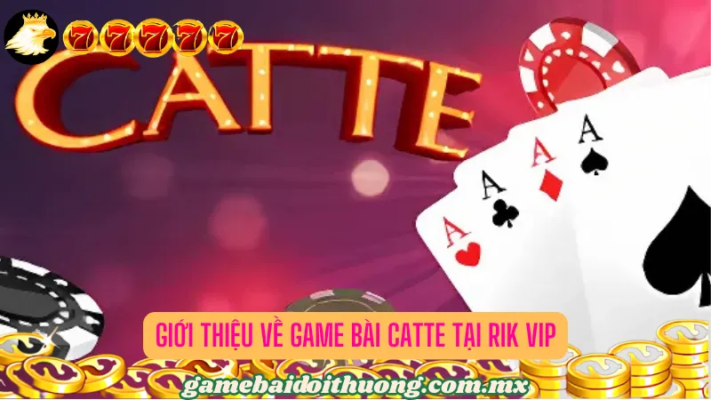 Giới Thiệu Về Game bài Catte tại Rik Vip