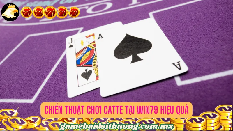 Chiến Thuật Chơi Catte tại Win79 Hiệu Quả