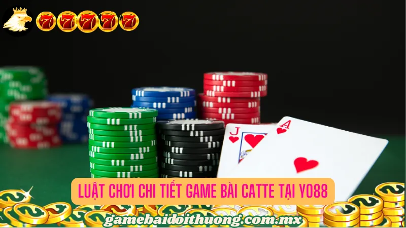 Luật Chơi Chi Tiết Game Bài Catte tại Yo88