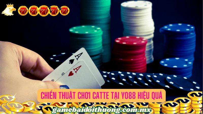 Chiến Thuật Chơi Catte tại Yo88 Hiệu Quả