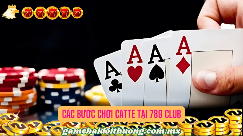 Các Bước Chơi Catte tại 789 Club