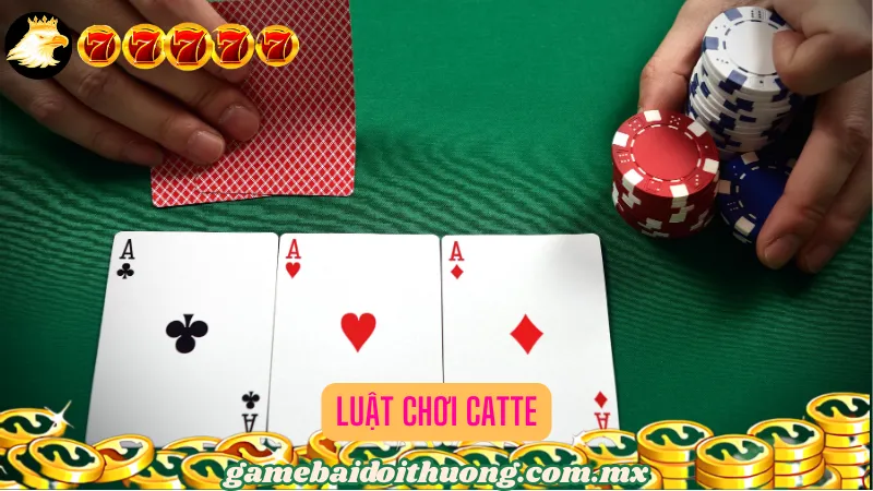 Luật Chơi Catte