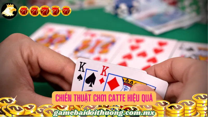 Chiến Thuật Chơi Catte Hiệu Quả