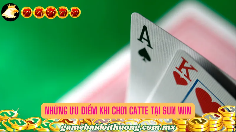 Những Ưu Điểm Khi Chơi Catte Tại Sun Win