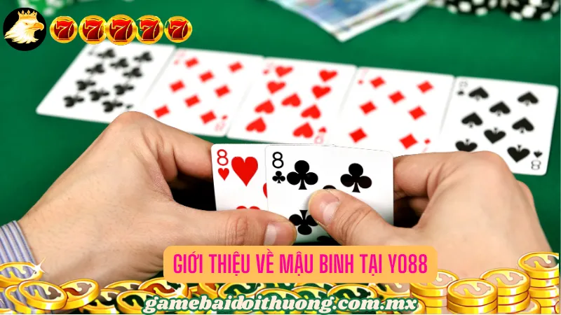 Giới Thiệu Về Mậu Binh Tại Yo88