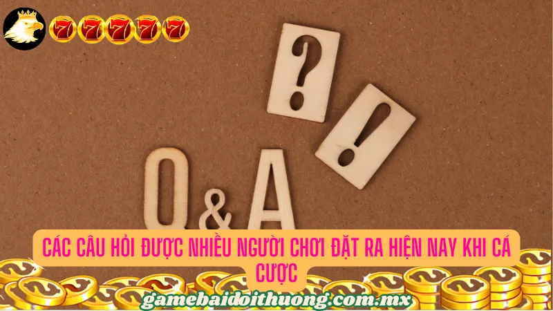 Các câu hỏi được nhiều người chơi đặt ra hiện nay khi cá cược