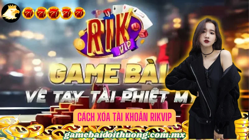 Hiểu Về Quản Lý Tài Khoản RikVip