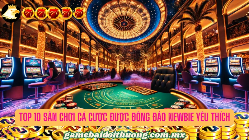 Top 10 thiên đường cá cược được newbie yêu thích