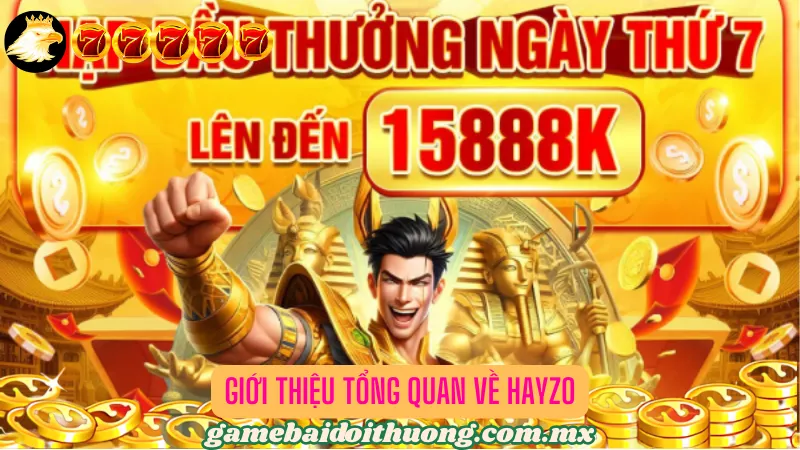 Giới thiệu tổng quan về HAYZO