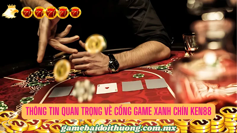 Tổng quan về nền tảng dẫn đầu thị trường Ken88