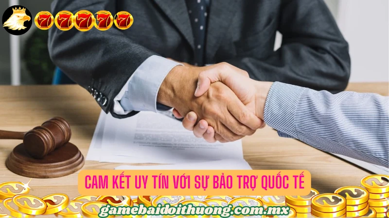 Sự bảo trợ hợp pháp và uy tín từ cơ quan quản lý thế giới