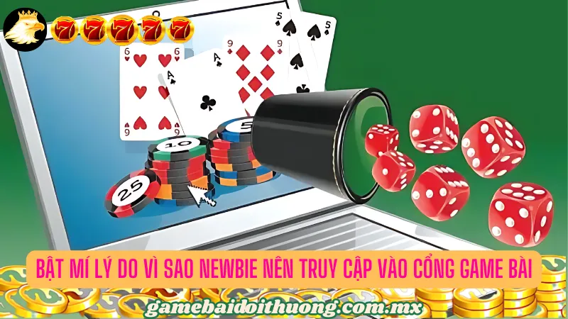 Bật mí lý do vì sao hội viên nên truy cập vào MMWin