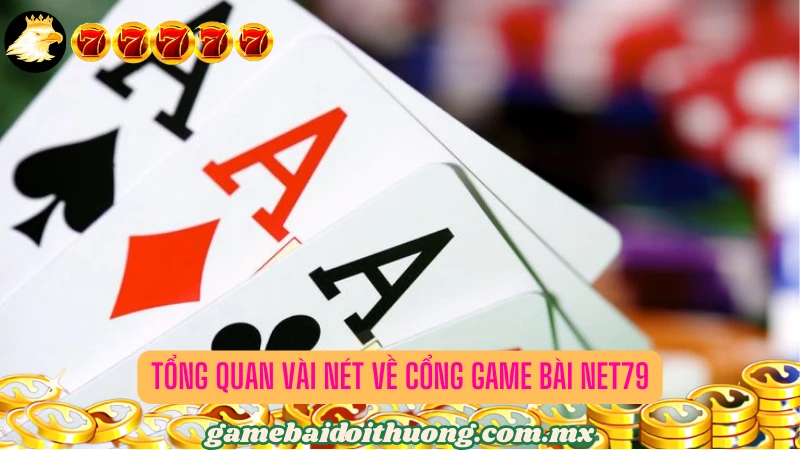 Diện mạo thu hút người chơi của Net79