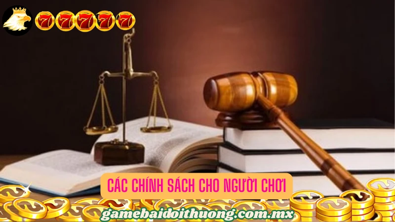 Các chính sách bảo vệ quyền lợi cho người chơi 