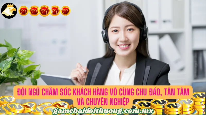 Đội ngũ CSKH Quick68 chu đáo, chuyên nghiệp và tận tình