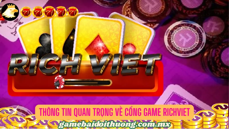 Giới thiệu cơ bản về nền tảng dẫn đầu thị trường Richviet