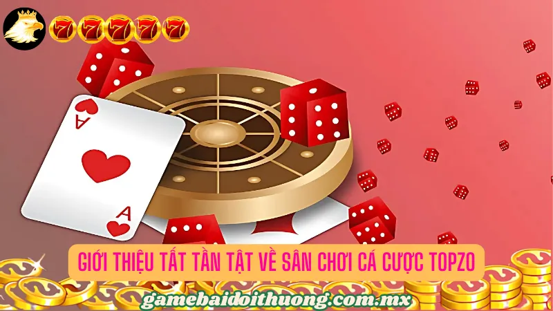 Giới thiệu tất tần tật về sân chơi cá cược đỉnh nhất hiện nay